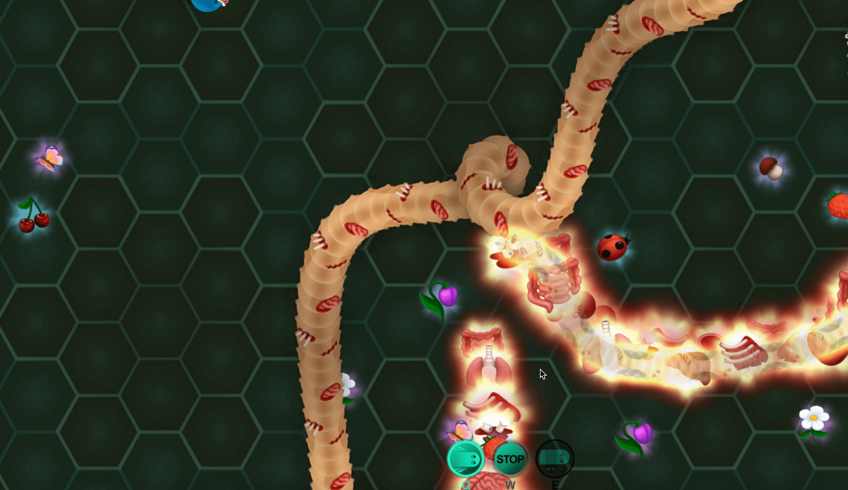 Wormax2.io Screenshot 1 Wormax2.io Screenshot 1