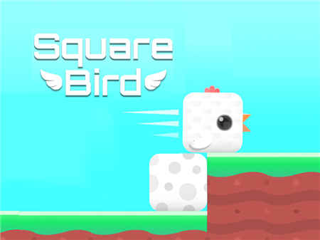 Square Bird