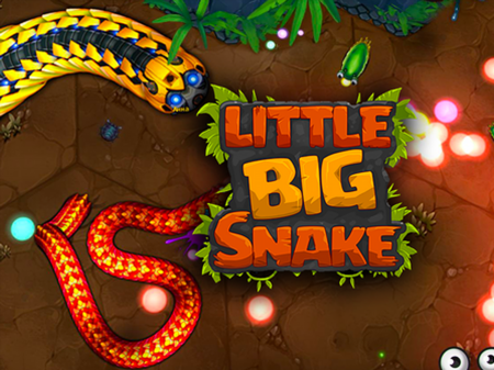 Little Big Snake