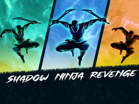 Shadow Ninja Revenge