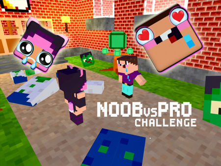 Noob vs Pro Challenge