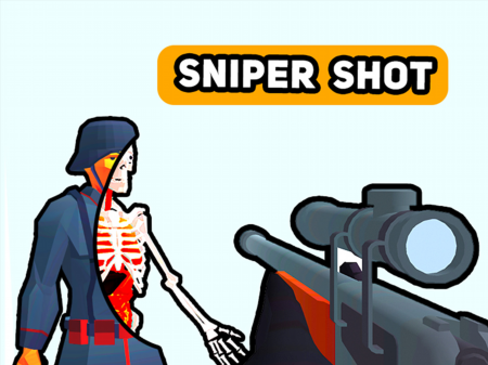 Sniper Shot: Bullet Time