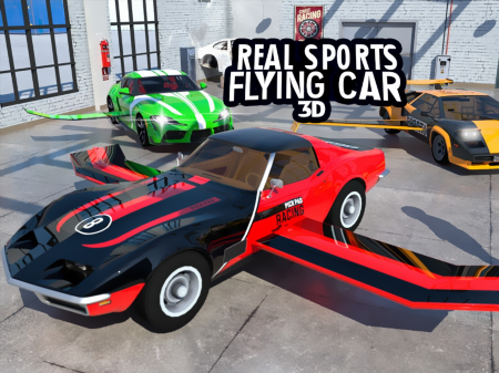 Real Sports Flying Car 3D