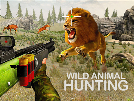 Wild Animal Hunting