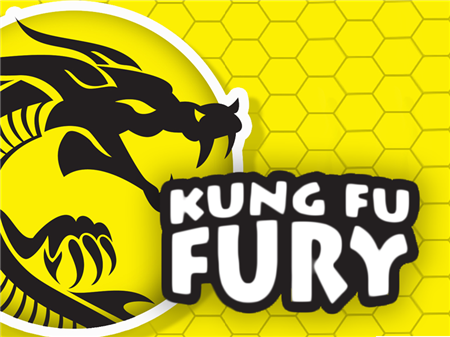 Kung Fu Fury