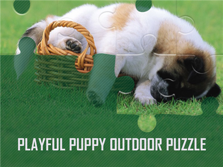 Playful Puppy Outdoor Puzzle