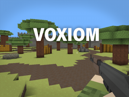 Voxiom.io