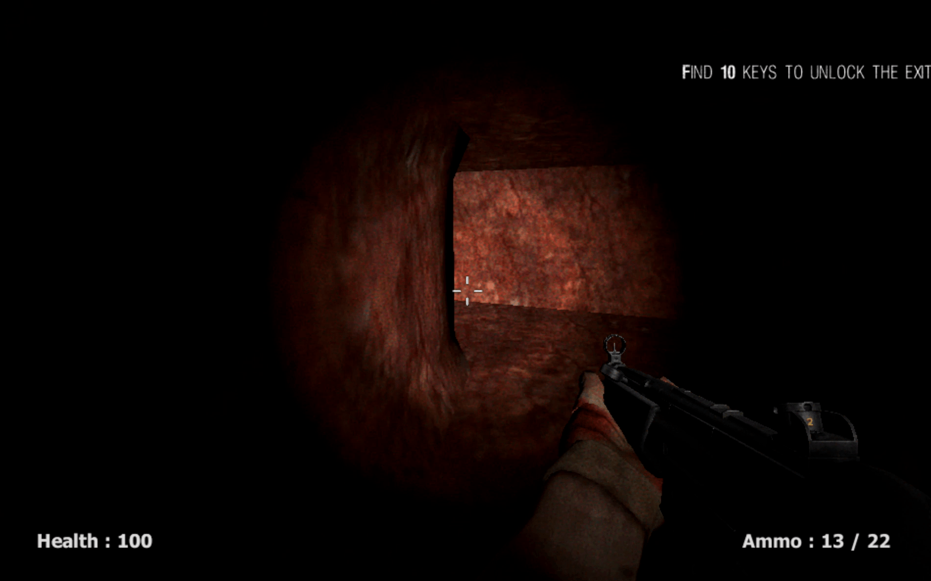 Silent Asylum Screenshot 13 Silent Asylum Screenshot 13
