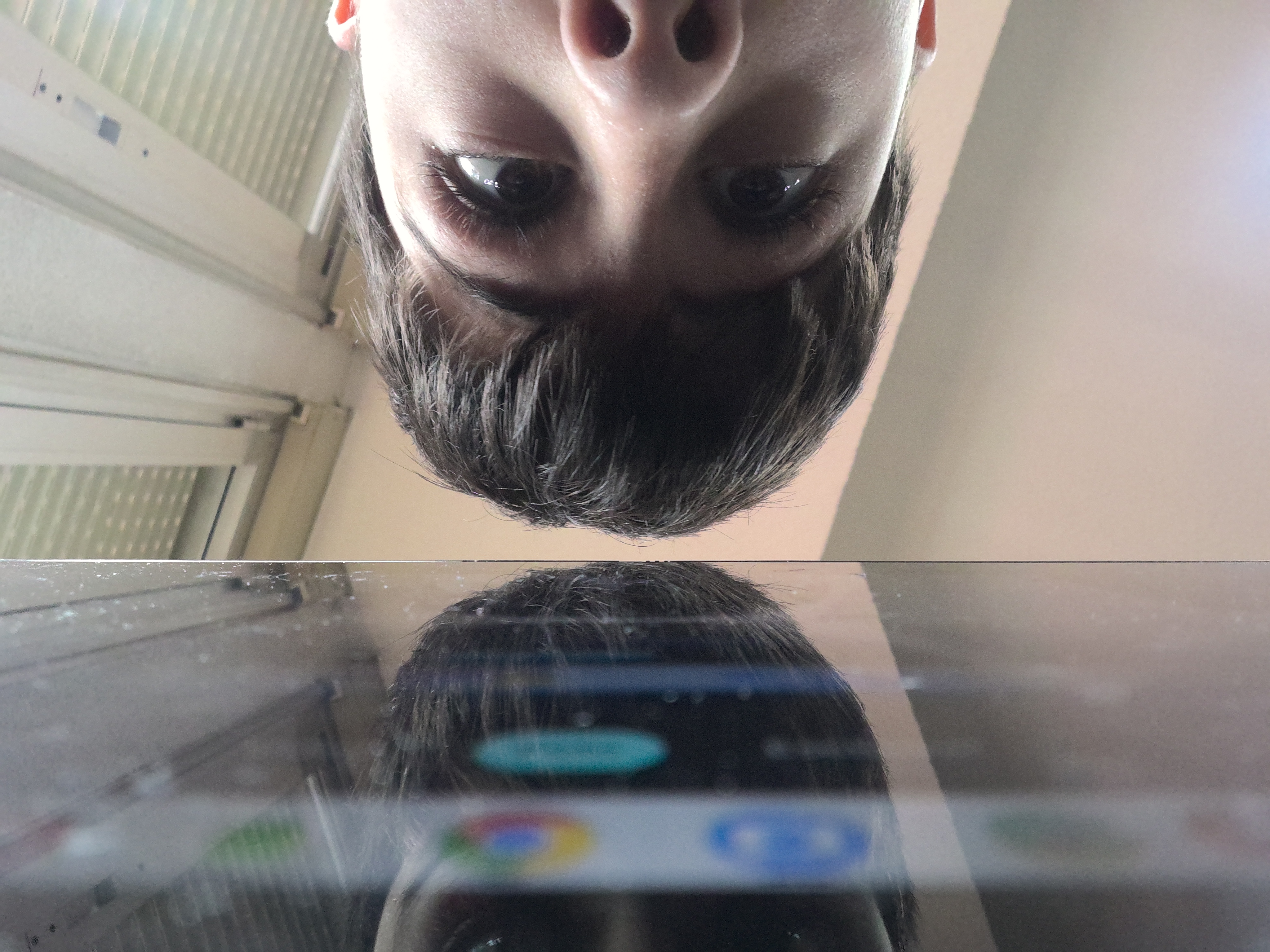 Miguelin
